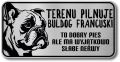 Tabliczka ostrzegawcza - Uwaga pies BULDOG FRANCUSKI