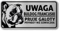 Tabliczka ostrzegawcza - Uwaga pies BULDOG FRANCUSKI po śląsku śmieszna