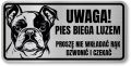 Tabliczka ostrzegawcza - Uwaga pies BULDOG FRANCUSKI