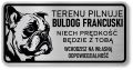 Tabliczka ostrzegawcza - Uwaga pies BULDOG FRANCUSKI