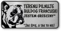 Tabliczka ostrzegawcza - Uwaga pies BULDOG FRANCUSKI śmieszna