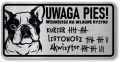 Tabliczka ostrzegawcza - Uwaga pies BULDOG FRANCUSKI śmieszna