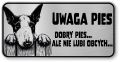 Tabliczka ostrzegawcza - Uwaga pies BULTERIER