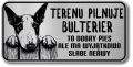 Tabliczka ostrzegawcza - Uwaga pies BULTERIER