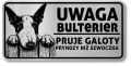 Tabliczka ostrzegawcza - Uwaga pies BULTERIER po śląsku