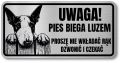 Tabliczka ostrzegawcza - Uwaga pies BULTERIER