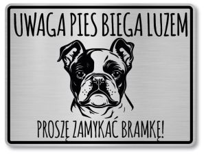 Tabliczka ostrzegawcza - Uwaga pies BULDOG FRANCUSKI