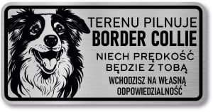 Tabliczka ostrzegawcza - Uwaga pies Border Collie