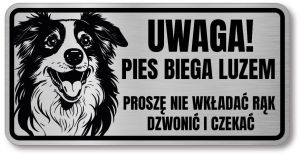 Tabliczka ostrzegawcza - Uwaga pies Border Collie