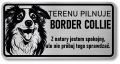 Tabliczka ostrzegawcza - Uwaga pies Border Collie