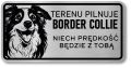 Tabliczka ostrzegawcza - Uwaga pies Border Collie