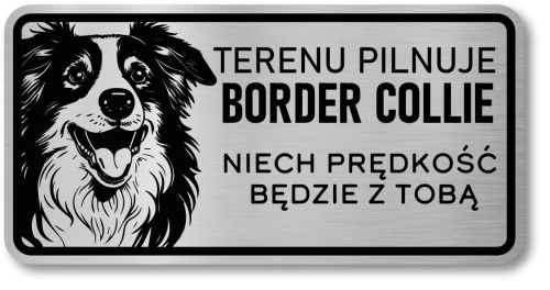 Tabliczka ostrzegawcza - Uwaga pies Border Collie