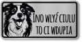 Tabliczka ostrzegawcza - Uwaga pies Border Collie po śląsku