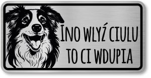 Tabliczka ostrzegawcza - Uwaga pies Border Collie po śląsku