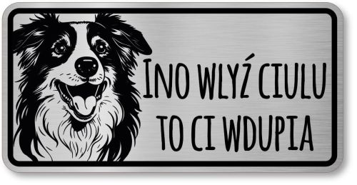 Tabliczka ostrzegawcza - Uwaga pies Border Collie po śląsku