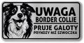 Tabliczka ostrzegawcza - Uwaga pies Border Collie po śląsku