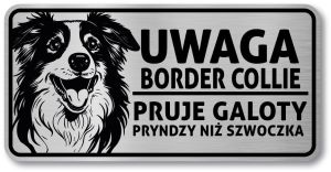 Tabliczka ostrzegawcza - Uwaga pies Border Collie po śląsku