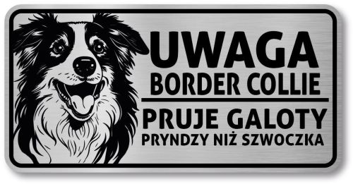 Tabliczka ostrzegawcza - Uwaga pies Border Collie po śląsku