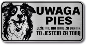 Tabliczka ostrzegawcza - Uwaga pies Border Collie