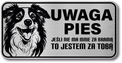 Tabliczka ostrzegawcza - Uwaga pies Border Collie