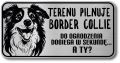 Tabliczka ostrzegawcza - Uwaga pies Border Collie
