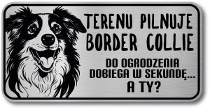Tabliczka ostrzegawcza - Uwaga pies Border Collie