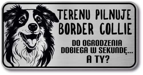 Tabliczka ostrzegawcza - Uwaga pies Border Collie