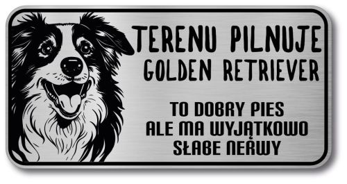 Tabliczka ostrzegawcza - Uwaga pies Border Collie
