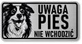 Tabliczka ostrzegawcza - Uwaga pies Border Collie