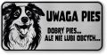 Tabliczka ostrzegawcza - Uwaga pies Border Collie