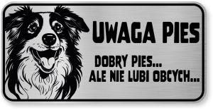 Tabliczka ostrzegawcza - Uwaga pies Border Collie