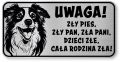 Tabliczka ostrzegawcza - Uwaga pies Border Collie śmieszna