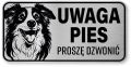 Tabliczka ostrzegawcza - Uwaga pies Border Collie