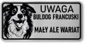 Tabliczka ostrzegawcza - Uwaga pies Border Collie