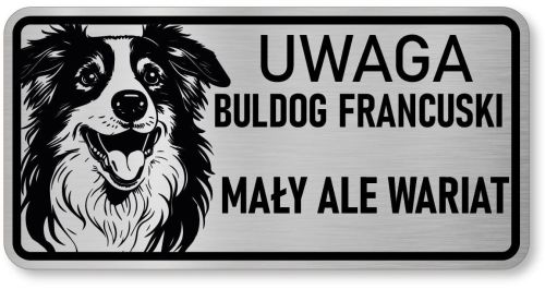 Tabliczka ostrzegawcza - Uwaga pies Border Collie