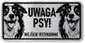 Tabliczka ostrzegawcza - Uwaga pies Border Collie 2 psy