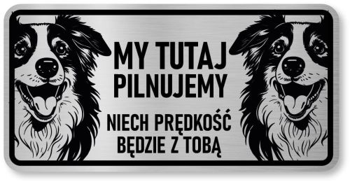 Tabliczka ostrzegawcza - Uwaga pies Border Collie 2 psy
