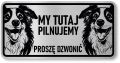 Tabliczka ostrzegawcza - Uwaga pies Border Collie 2 psy