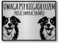 Tabliczka ostrzegawcza - Uwaga pies Border Collie