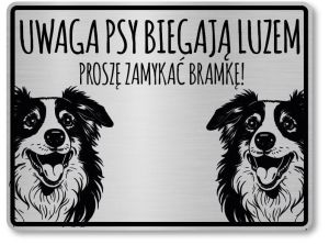 Tabliczka ostrzegawcza - Uwaga pies Border Collie
