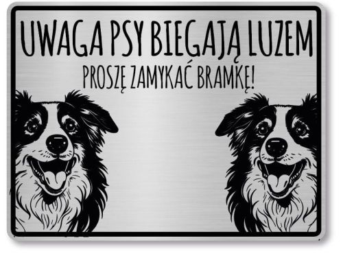 Tabliczka ostrzegawcza - Uwaga pies Border Collie