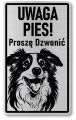 Tabliczka ostrzegawcza - Uwaga pies Border Collie