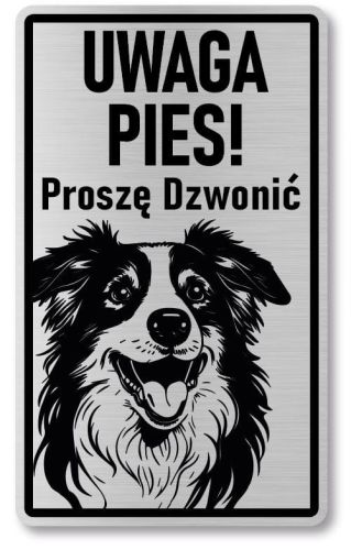 Tabliczka ostrzegawcza - Uwaga pies Border Collie