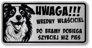 Tabliczka ostrzegawcza - Uwaga pies Border Collie śmieszna