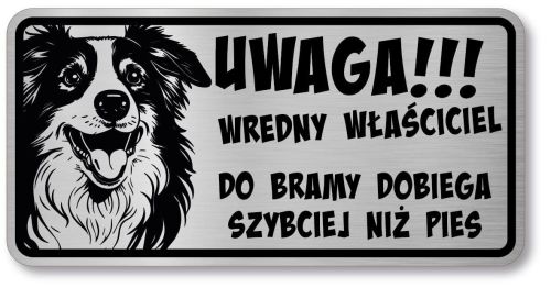 Tabliczka ostrzegawcza - Uwaga pies Border Collie śmieszna