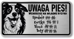 Tabliczka ostrzegawcza - Uwaga pies Border Collie śmieszna