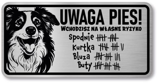 Tabliczka ostrzegawcza - Uwaga pies Border Collie śmieszna