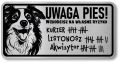 Tabliczka ostrzegawcza - Uwaga pies Border Collie śmieszna