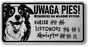 Tabliczka ostrzegawcza - Uwaga pies Border Collie śmieszna