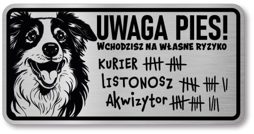 Tabliczka ostrzegawcza - Uwaga pies Border Collie śmieszna